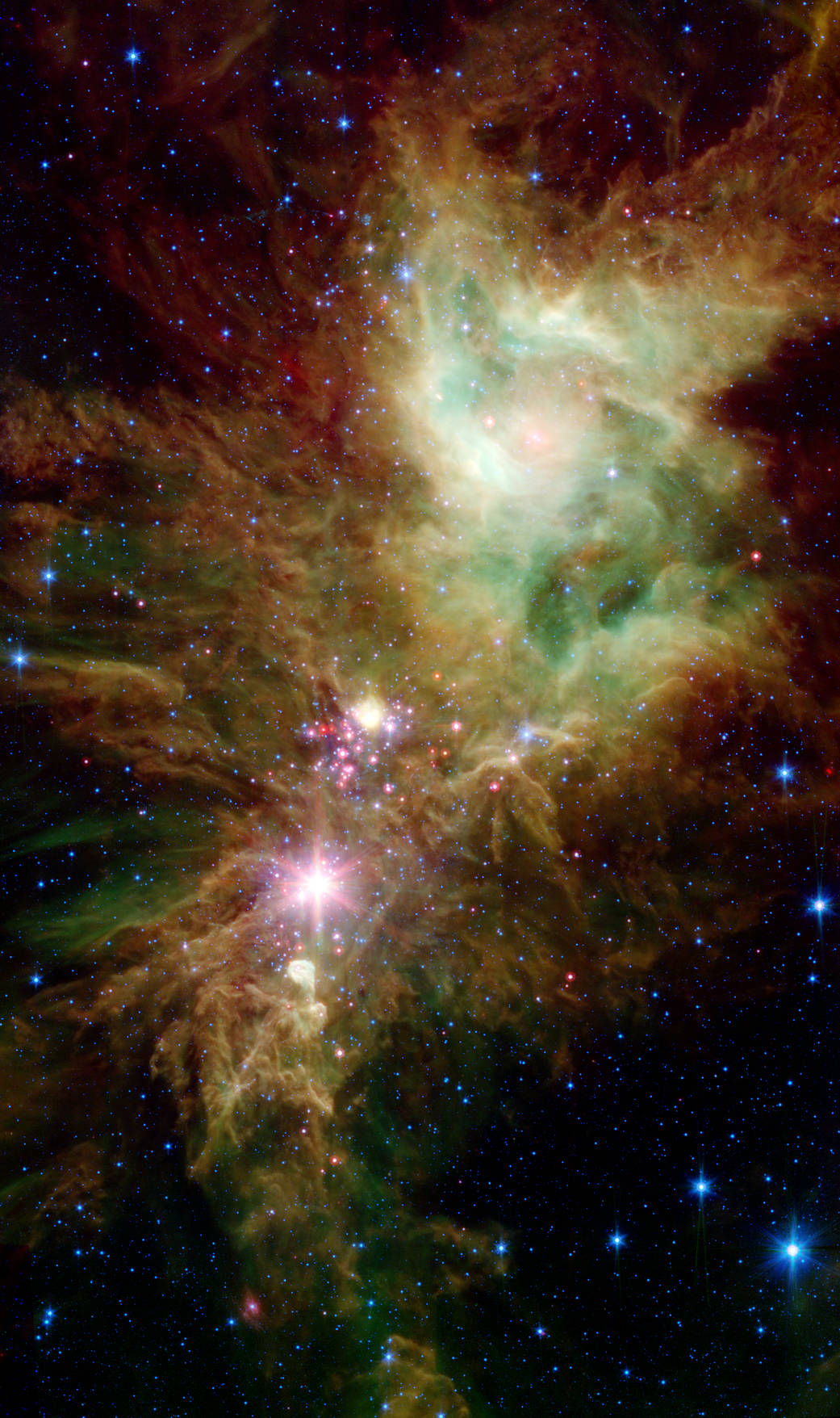 Фото - NASA NASA опубликовало фото Рождественской елки космических масштабов