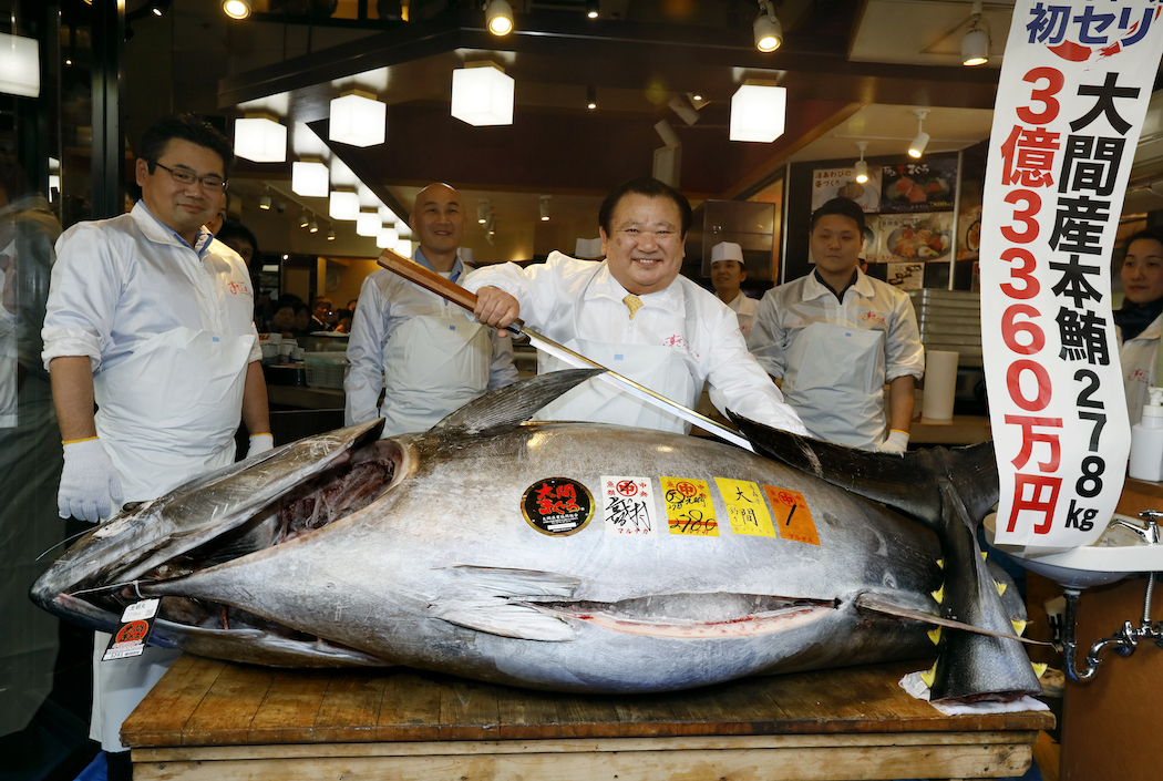 $1,8 млн. В Японии продали синего тунца весом почти 300 кг: фото | Новости  Украины | LIGA.net