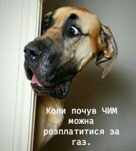 Фото - Facebook