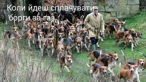 Фото - Facebook