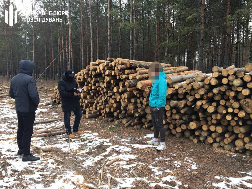 Четыре лесничих нанесли убытки на 6 млн грн - ГБР