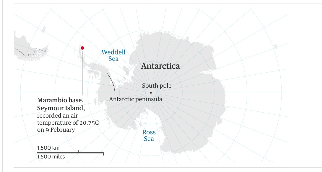 Впервые в истории. Температура в Антарктике поднялась выше 20°C