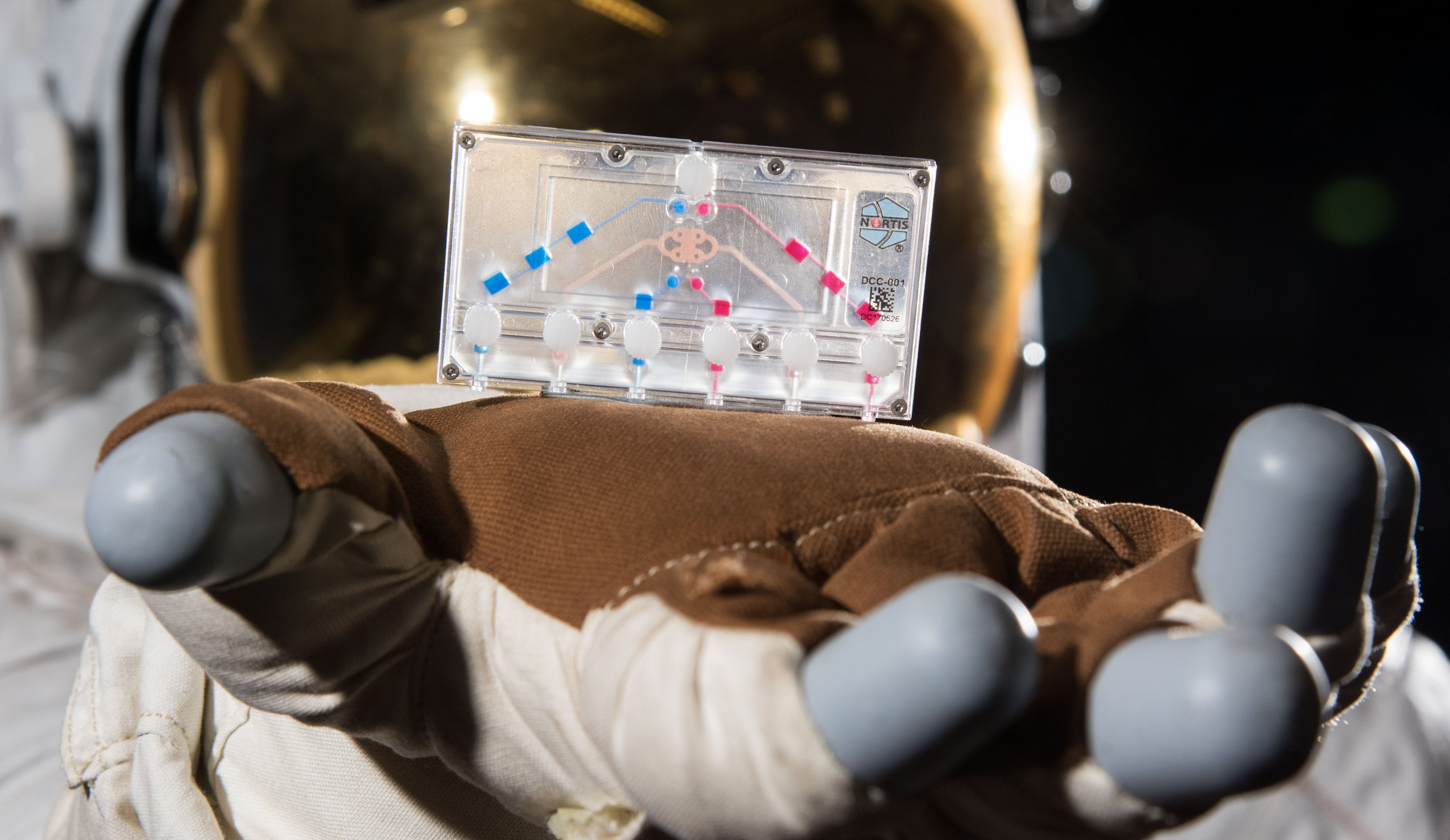 Стволовые клетки, Бартоломео, клетки-на-чипе и шарики Adidas: что везут в космос