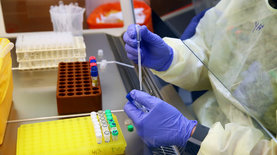 Закупленные Испанией в Китае экспресс-тесты на коронавирус не работают - СМИ