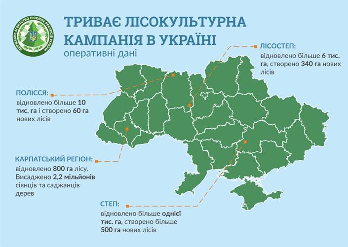 Инфографика Госагентства лесных ресурсов