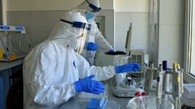 В Испании и Франции нет коллективного иммунитета к коронавирусу - исследования