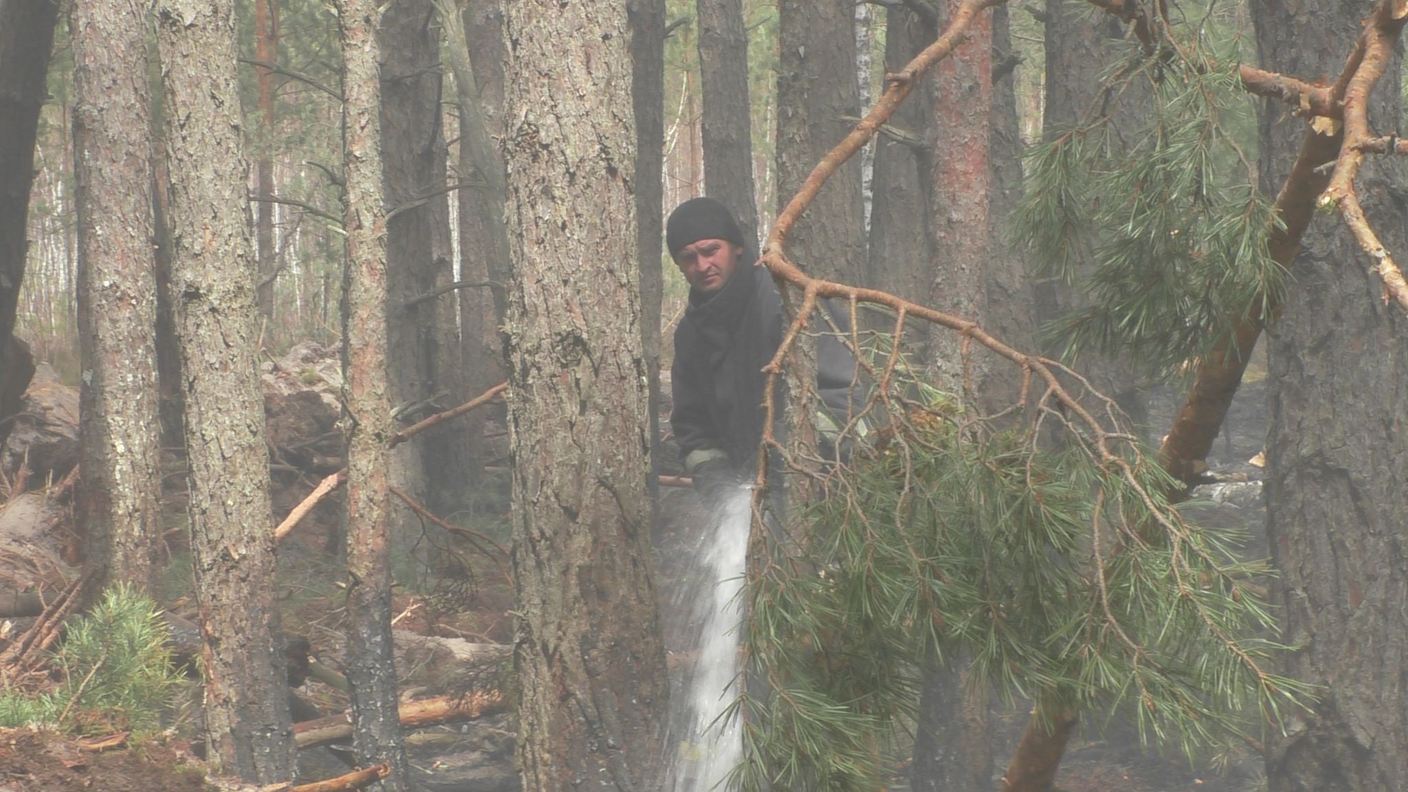 Пожары в Житомирской области. Спасатели локализуют очаг горения - фото, видео