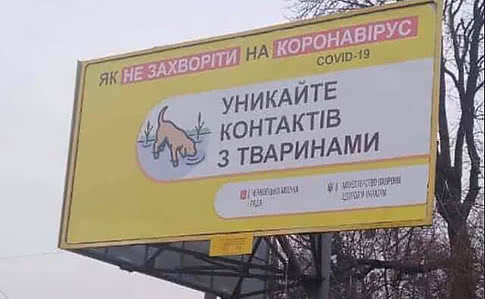 В США карантин взвинтил спрос на бездомных собак. В Украине все наоборот. При чем тут МОЗ