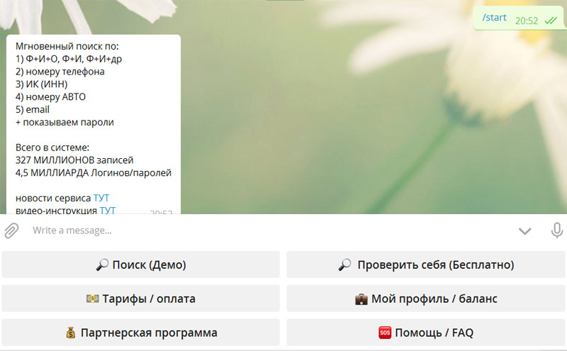 Telegram-бот продает персональные данные клиентов ПриватБанка (скрин: AIN) Telegram-бот продает персональные данные клиентов ПриватБанка (скрин: AIN)