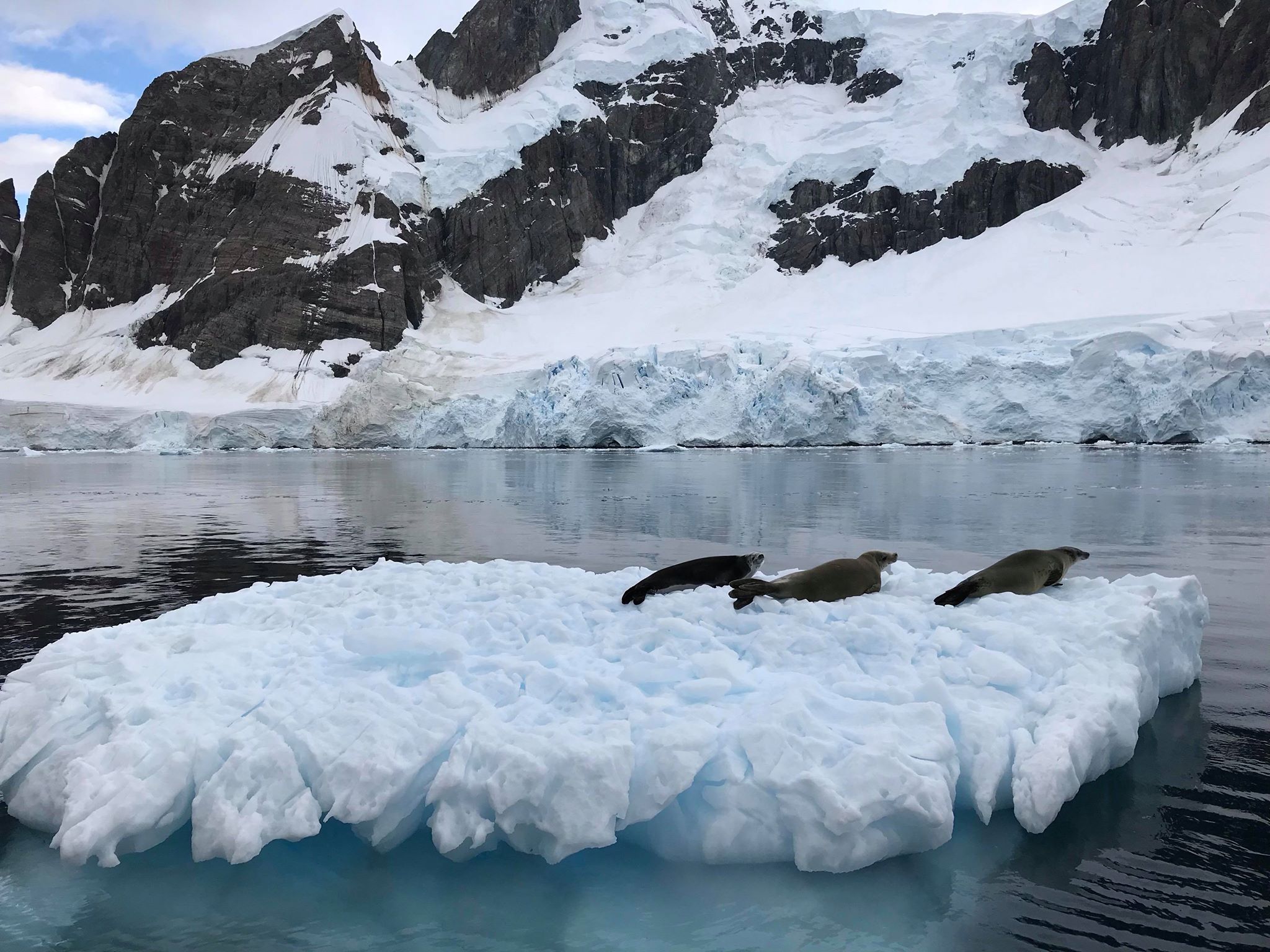Длинная дорога на край света: как коронавирус не пускал украинскую экспедицию в Антарктиду