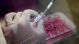 Во Франции — больше 10 000 заболевших коронавирусом за сутки