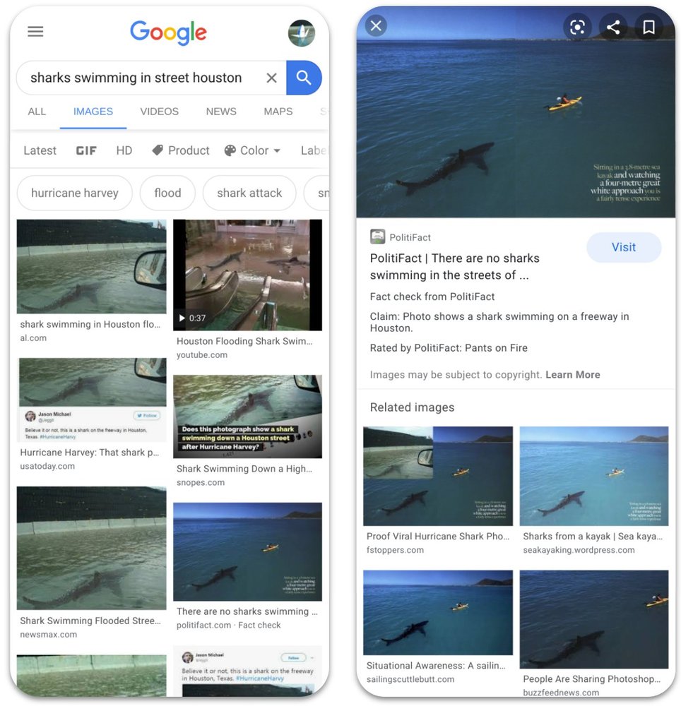 Как выглядит проверка изображений на достоверность от Google. Фото: googleapis.com Как выглядит проверка изображений на достоверность от Google. Фото: googleapis.com