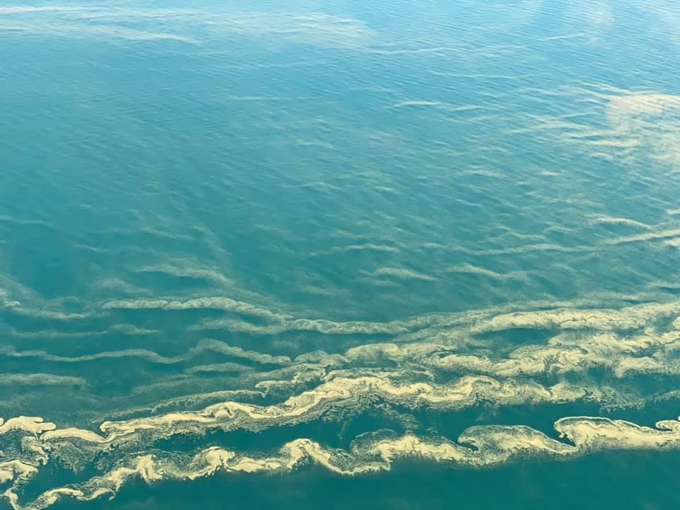 В Одессе "зацвело" море: купаться не советуют на пяти пляжах - фото