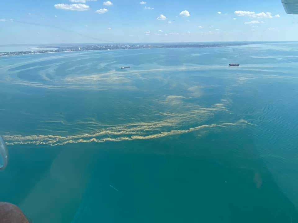 В Одессе "зацвело" море: купаться не советуют на пяти пляжах - фото