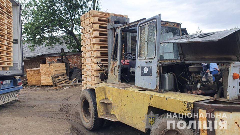 Фото: if.npu.gov.ua На Прикарпатье провели массовые обыски в деле о незаконной вырубке леса: видео