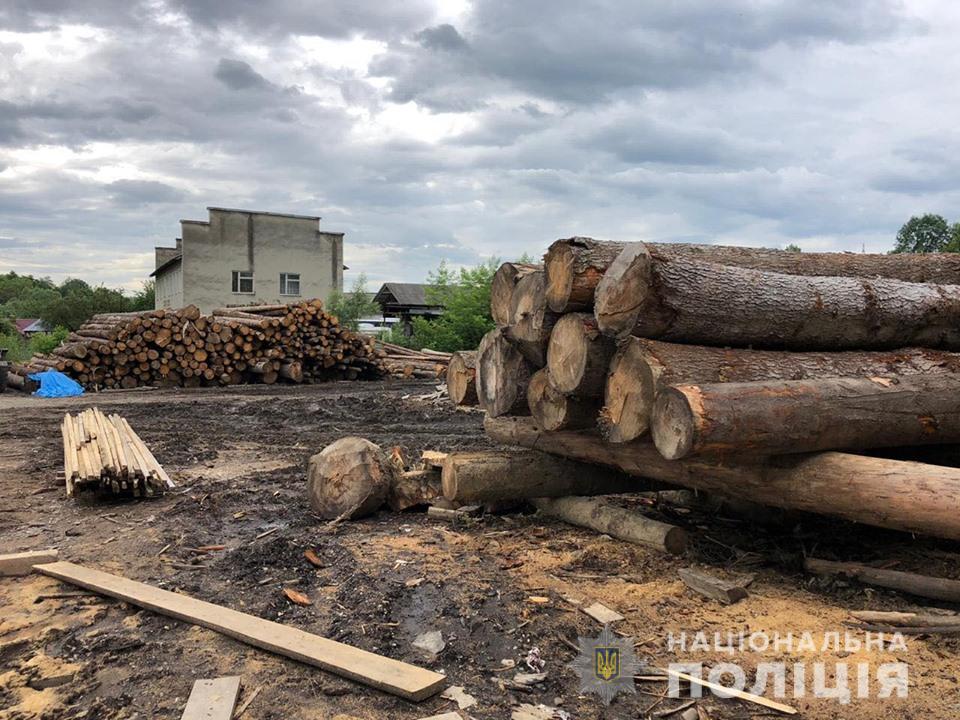 На Прикарпатье провели массовые обыски в деле о незаконной вырубке леса: видео