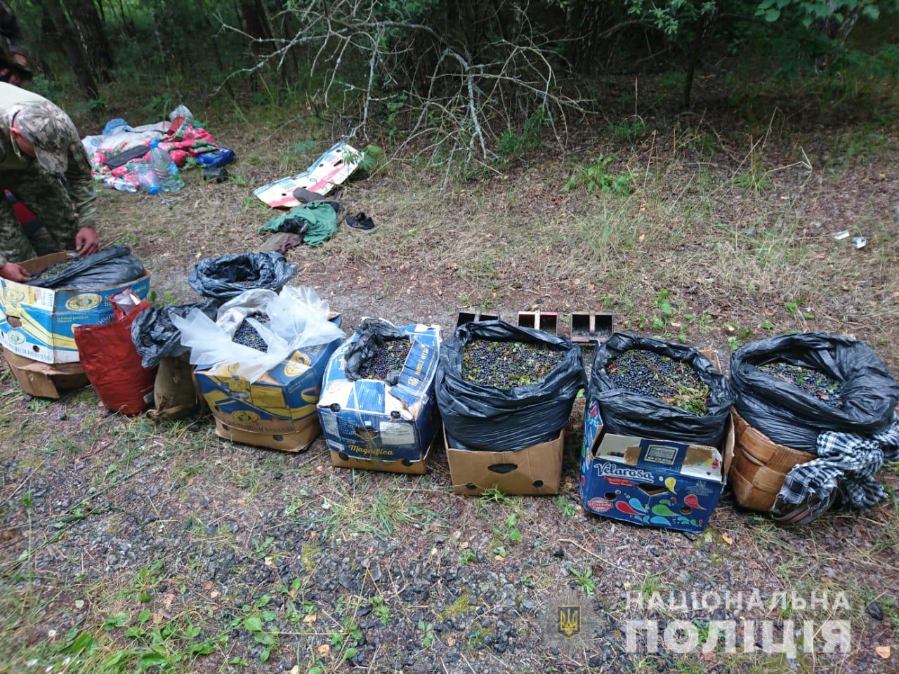 Ягоды из Чернобыля (facebook.com_pol.kyivregion) Ягоды из Чернобыля (facebook.com_pol.kyivregion)