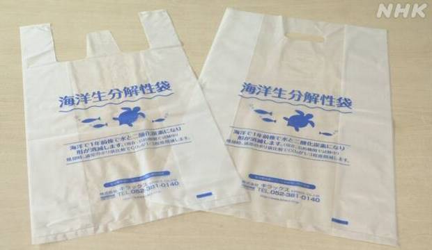 Жуки едят полистирол, а Mitsubishi создала разлагаемые в море пластиковые пакеты