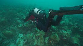 В Греции открыли подводный музей древнего кораблекрушения: видео