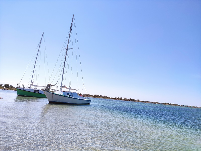 Відпустка на острові Джарилгач посеред Чорного моря: враження, ціни та як дістатись