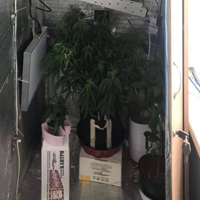 В Киеве на сбыте наркотиков задержан полицейский, у него нашли "пистолет Януковича"