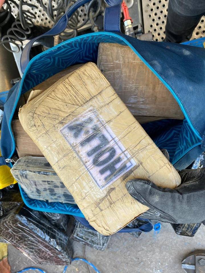 Более 100 кг кокаина. В порту под Одессой нашли наркотики, спрятанные в бананах - видео