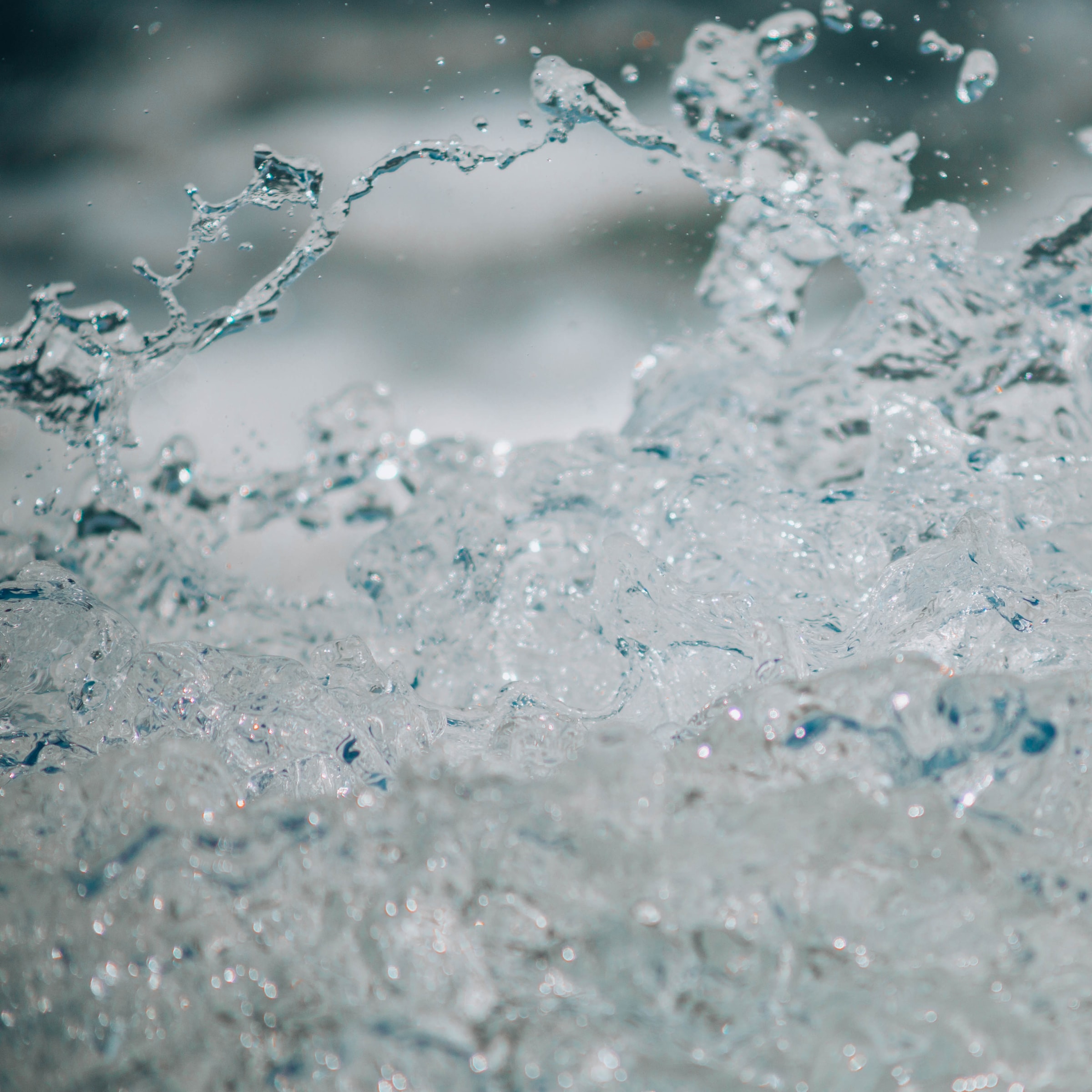 Фото: Unsplash