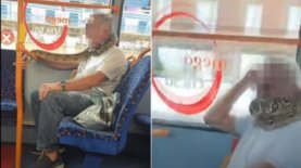 В Британии мужчина решил использовать вместо защитной маски в автобусе змею — видео