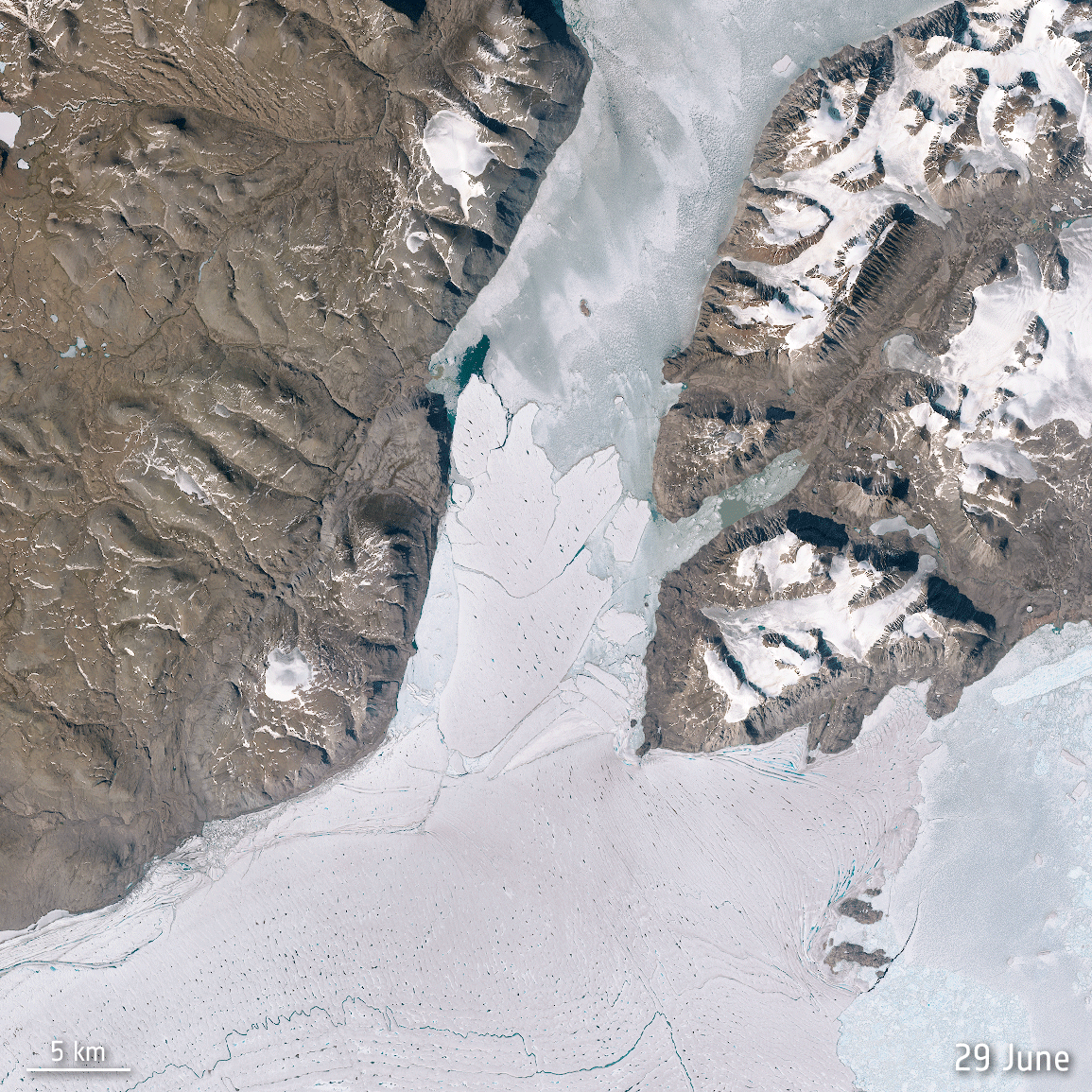 Как выглядит разрушение крупнейшего шельфового ледника Гренландии из космоса – анимация