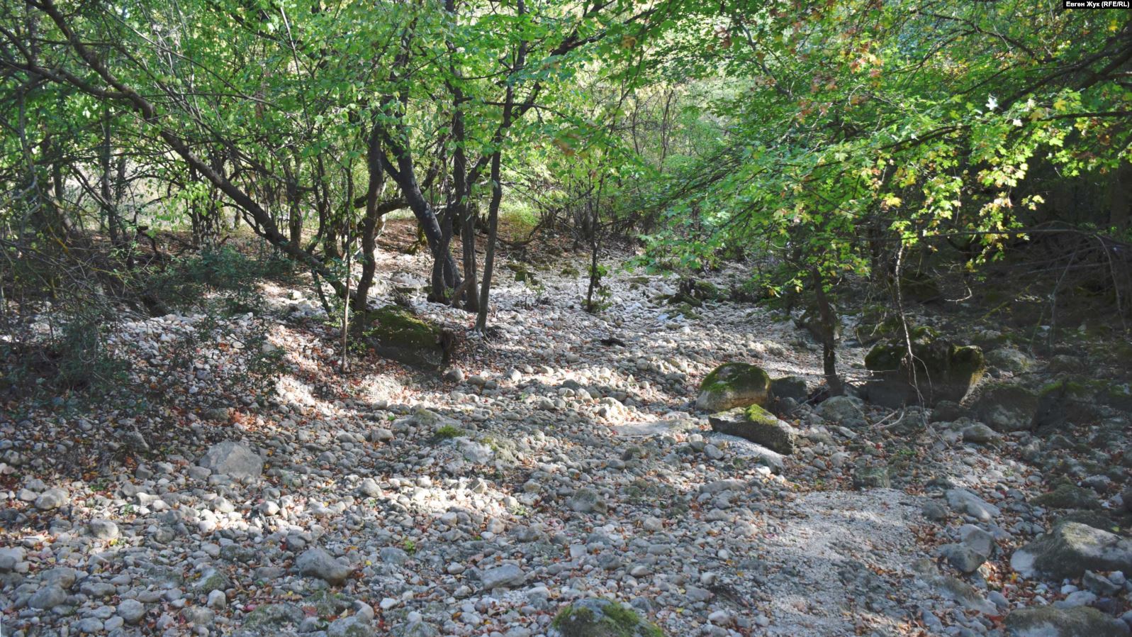 В Крыму пересыхает еще одно водохранилище – питающее Севастополь: фото