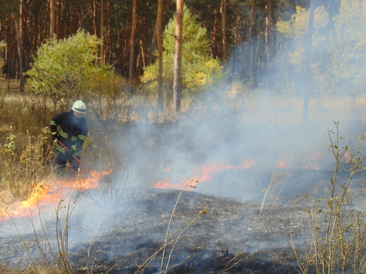 Пожары в Луганской области (Фото: пресс-служба полиции)