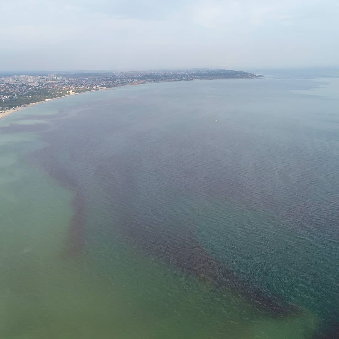 В Одессе покраснело море: рекомендуют не купаться и не есть морепродукты – фото