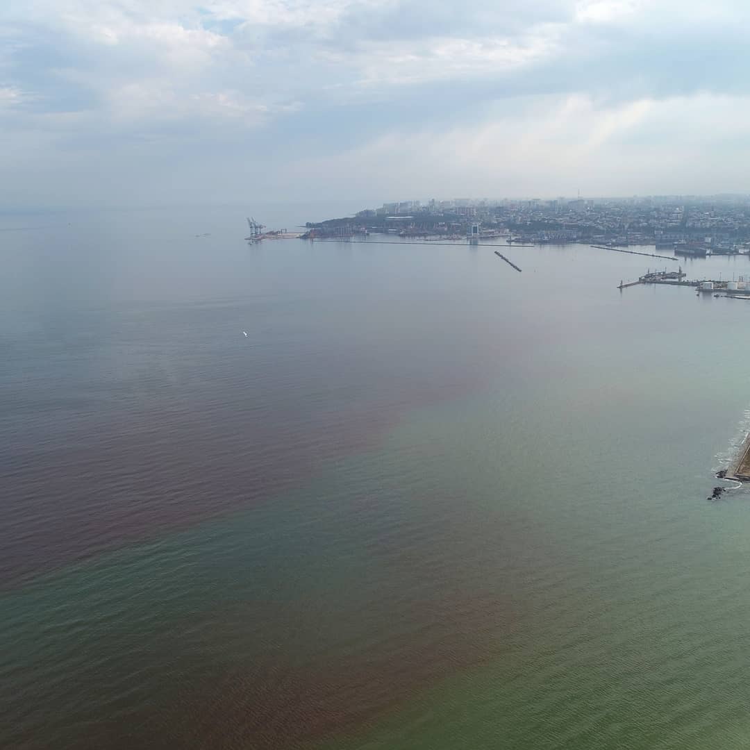 В Одессе покраснело море: рекомендуют не купаться и не есть морепродукты – фото