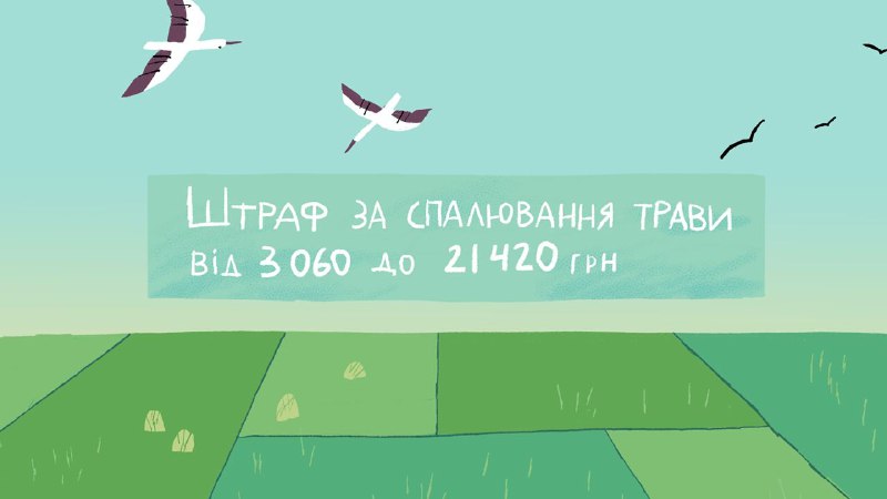 Штрафи за спалювання сухостою в Україні. Джерело – ролик ЛМР