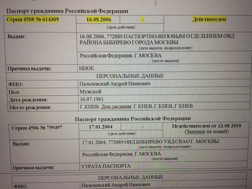 Кандидат в мэры Киева Пальчевский не подтвердил и не опроверг наличие у него паспорта РФ