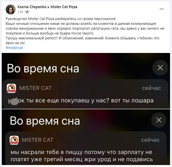 Mister Cat скандал. Скріншот
