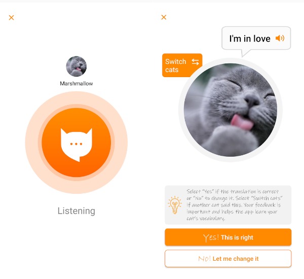 MeowTalk
