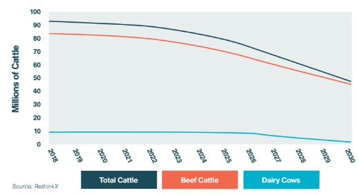 Фото – Rethinking Food and Agriculture 2020-2030
