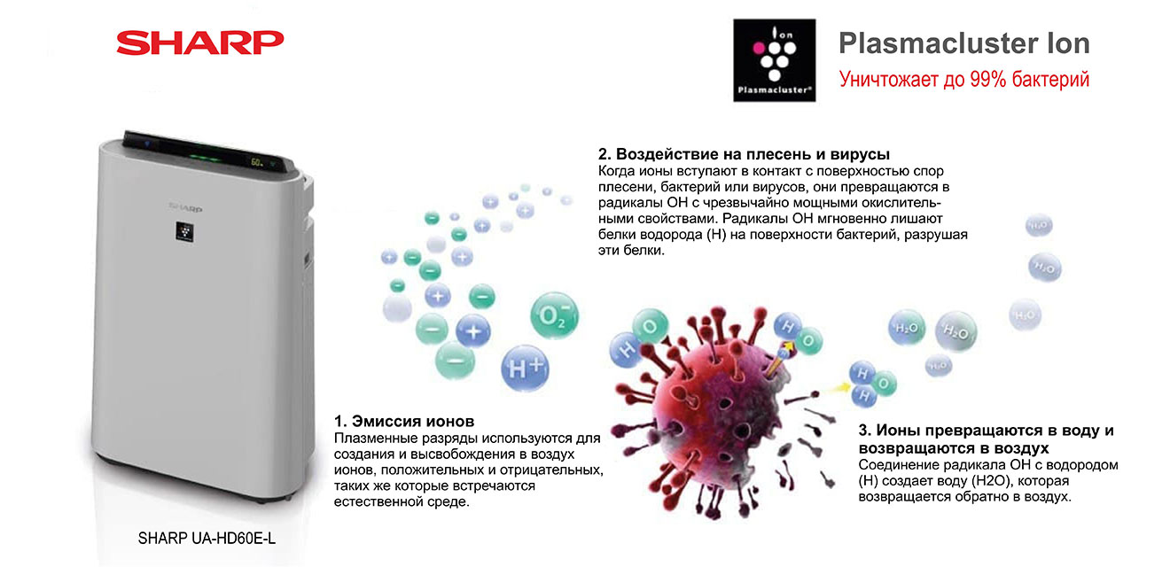 Технология Plazmacluster в воздухоочистителях Sharp уничтожает 91,3% вируса COVID-19