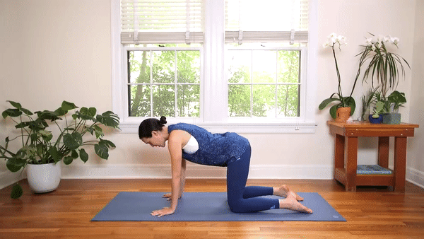Фрагмент з відео Yoga With Adriene