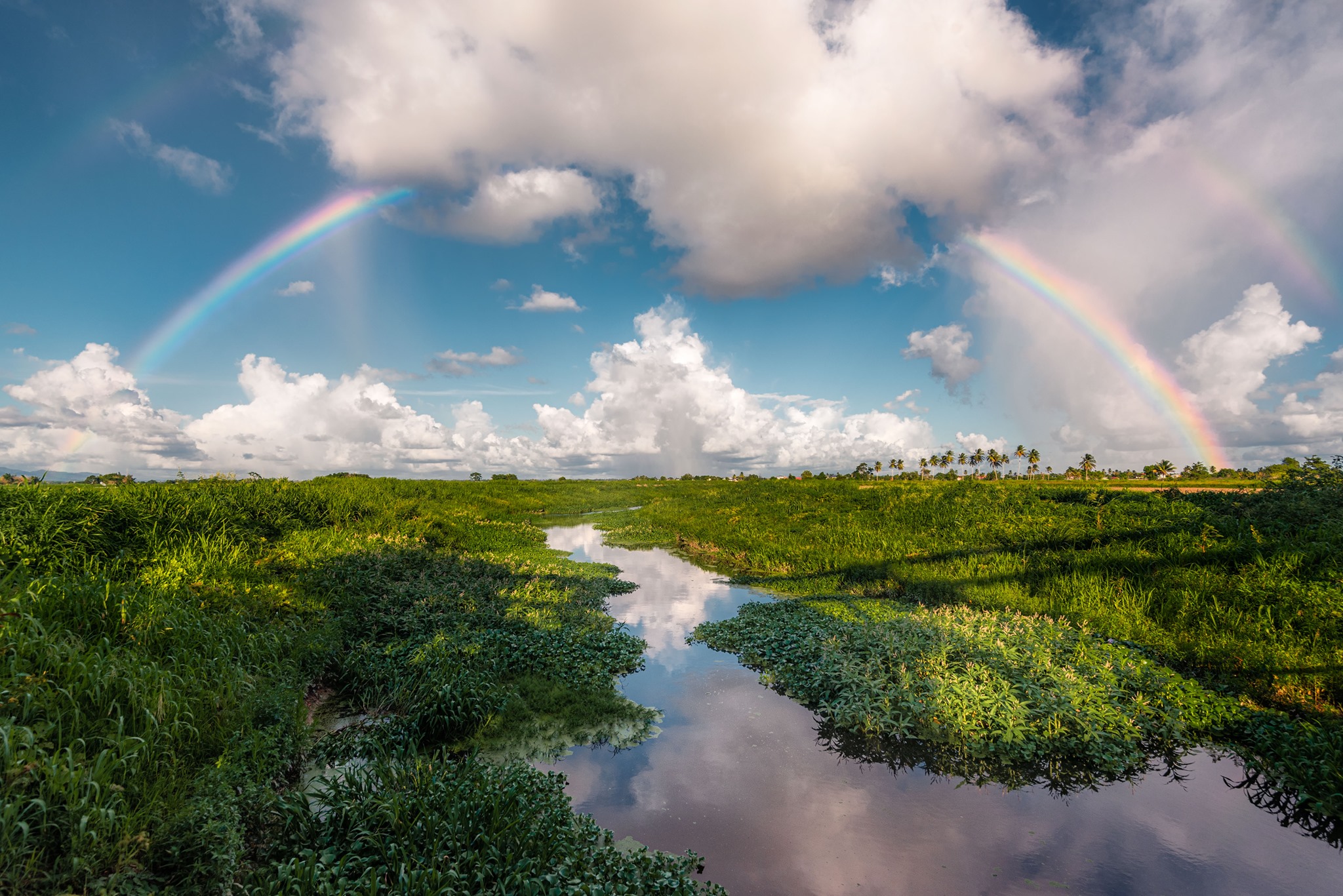 Фото Ziad Joseph. Trinidad and Tobago