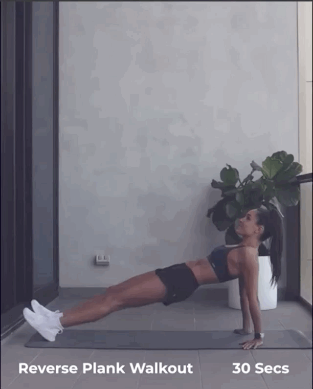 Ревесна динамічна планка (відео – Kayla Itsines) Ревесна динамічна планка (відео – Kayla Itsines)