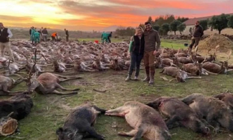 Испанские охотники за два дня убили в Португалии 540 диких животных: власти возмущены
