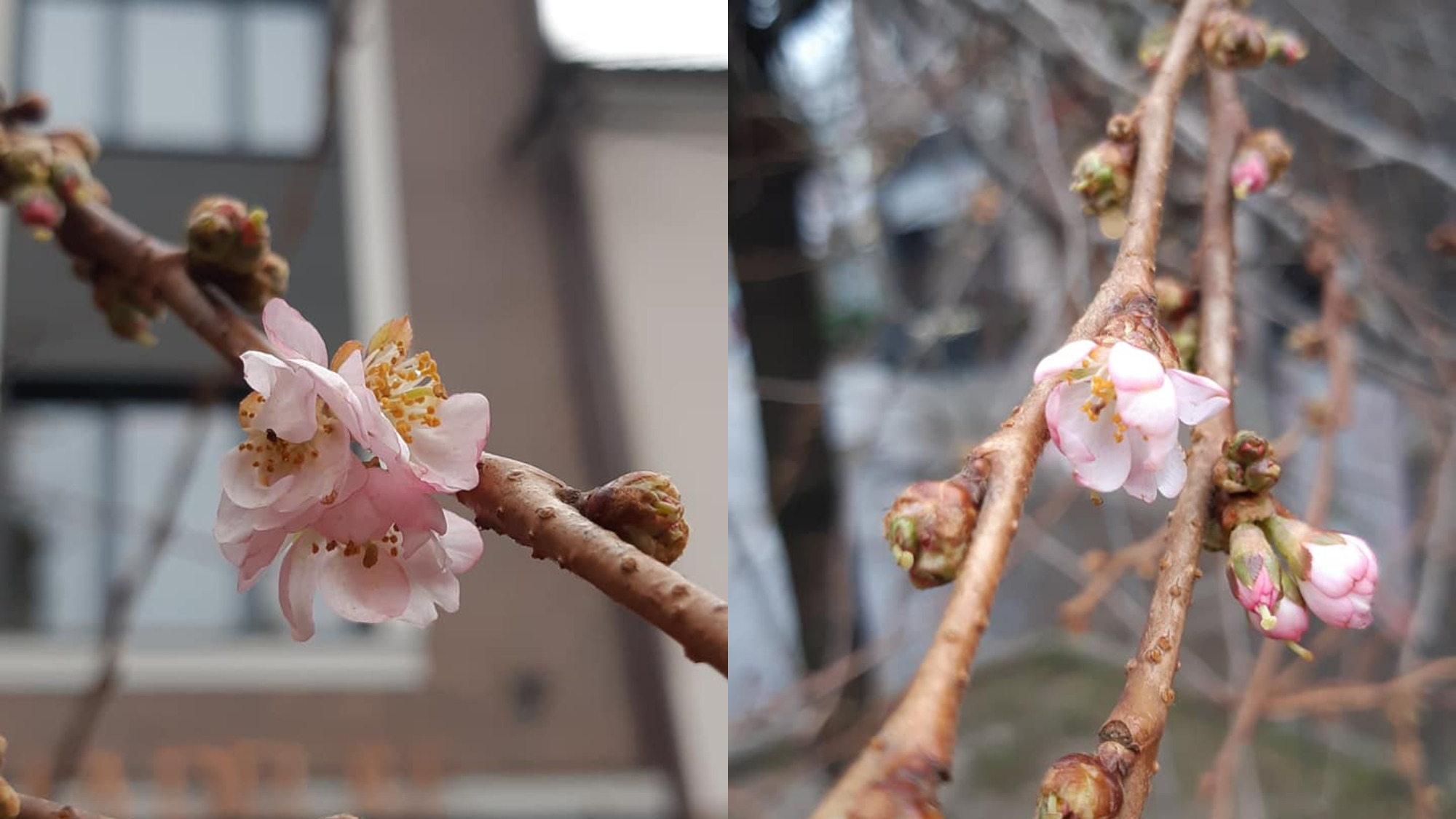 Фото з Facebook Ігоря Гуледзи