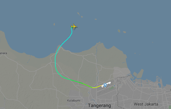 В Индонезии пропал с радаров пассажирский самолет: найдены предполагаемые обломки