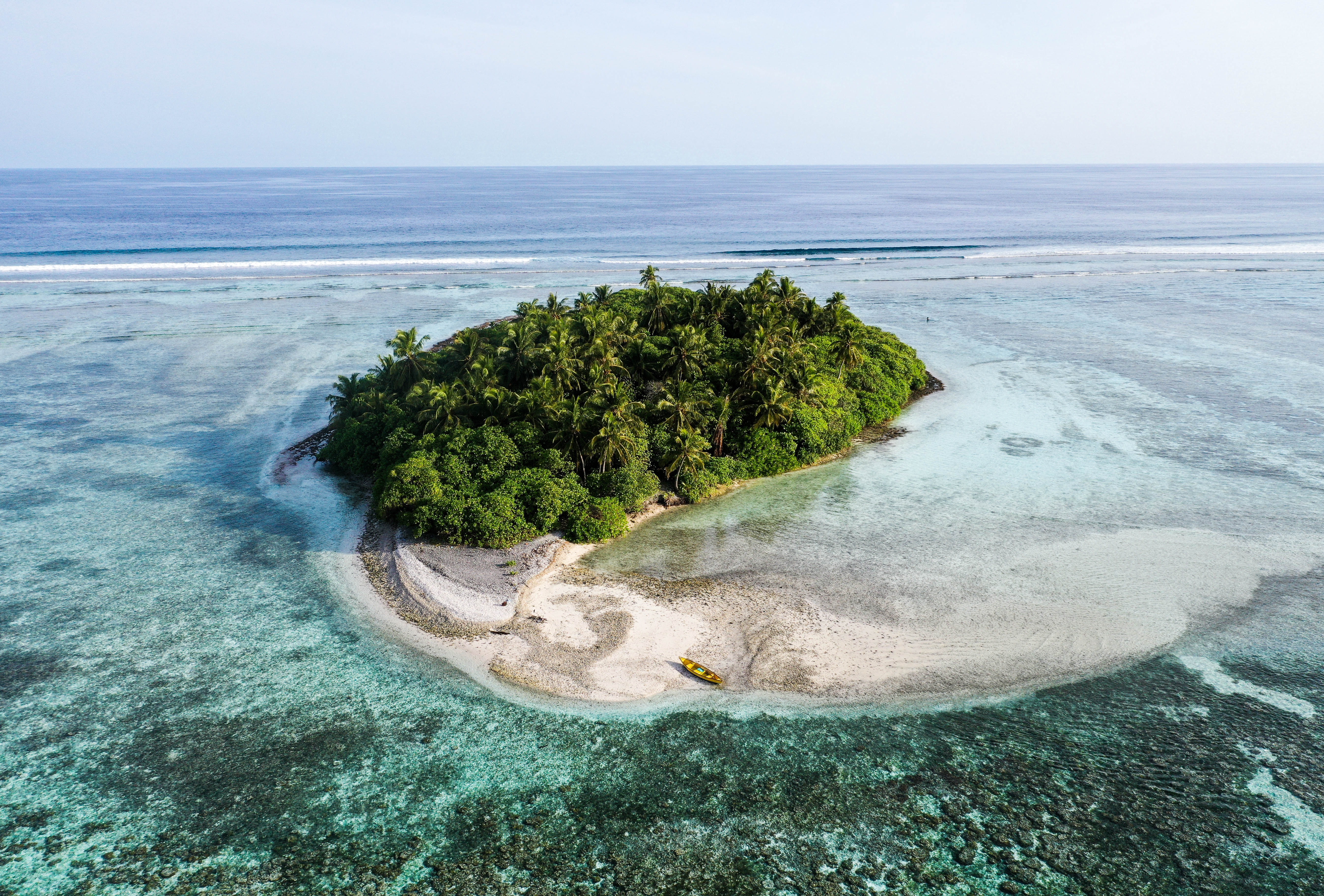 Фото: unsplush.com