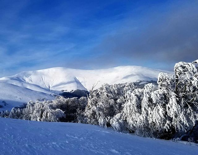 Карпаты укрыл почти метровый слой снега: фото зимней сказки в горах