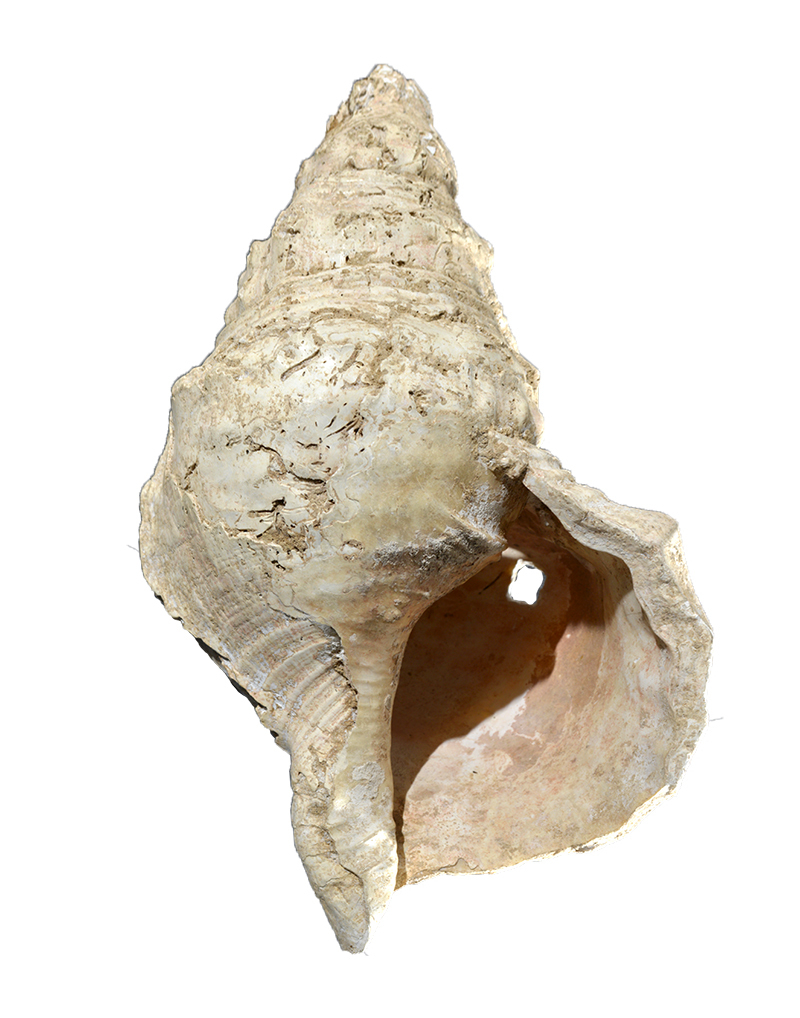 Фото: cnrs.fr