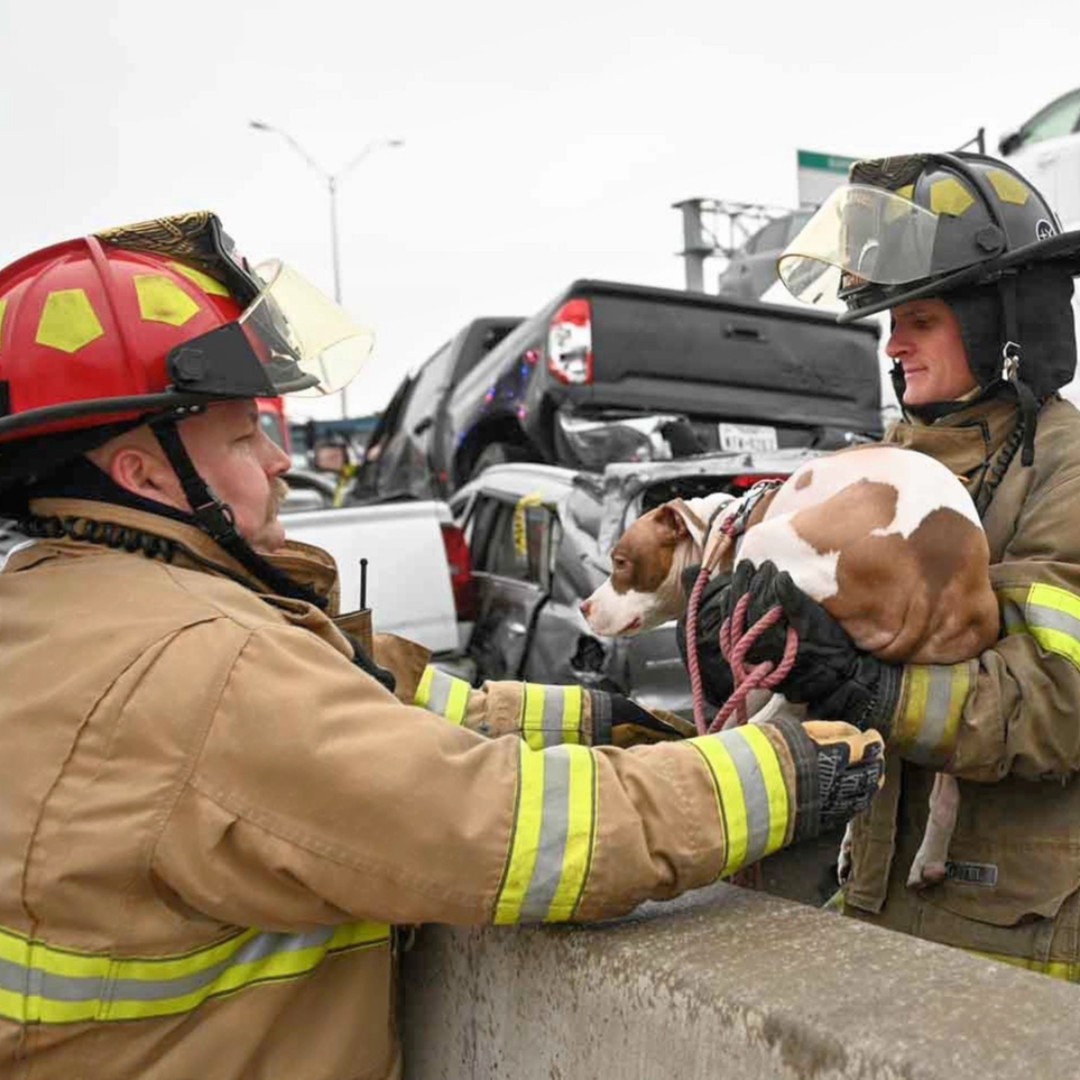 Motorway crash in Texas (Photo: FWFD)