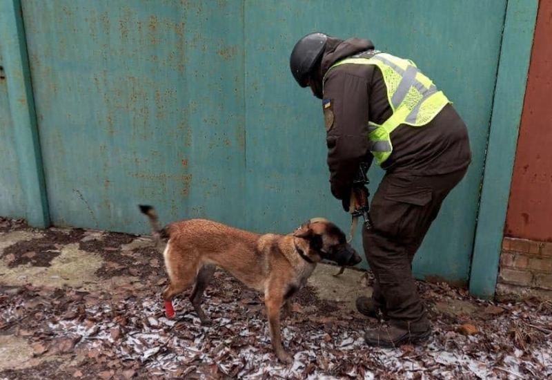 Служебный пес спас нацгвардейцев и работников СБУ на Донбассе, обнаружив "растяжку" – фото
